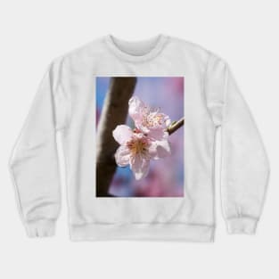 Cherry Blossom IV Crewneck Sweatshirt